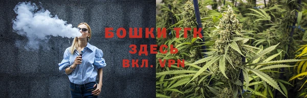 шишки Балахна