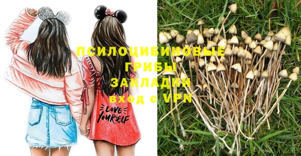 2c-b Балабаново
