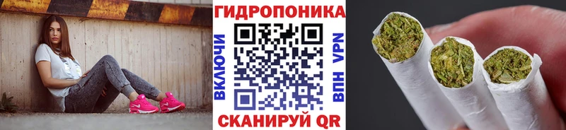 Конопля индика Верея